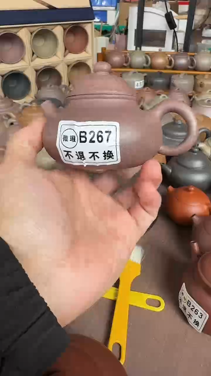茶壶紫砂行**疆微瑕B267五色砂容天