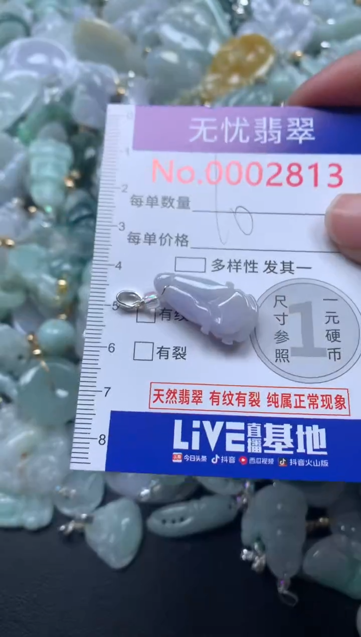 颈饰未镶嵌翡翠2813