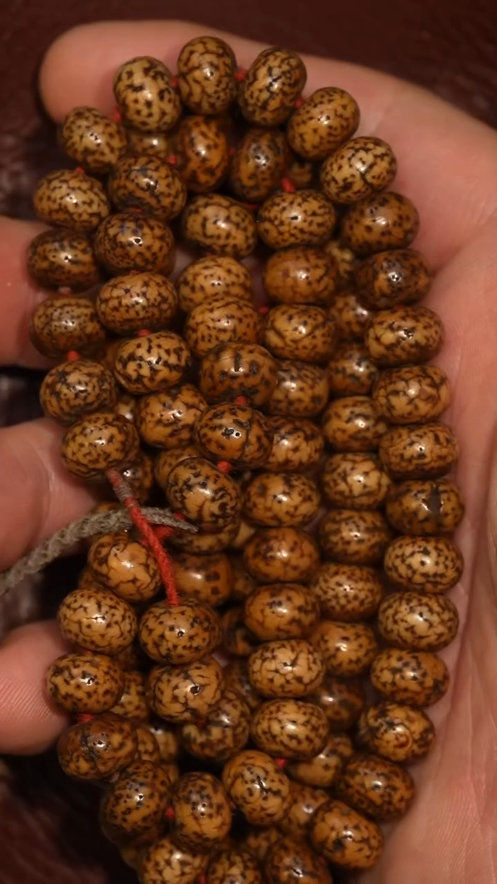 冲赛康胡子哥，藏传念珠241