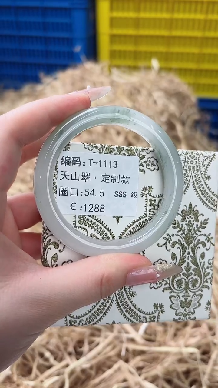 未镶嵌手镯石英质玉T-1113