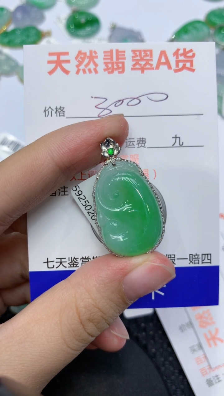 【闪购商品】翡翠颈饰18K金镶嵌111111111111