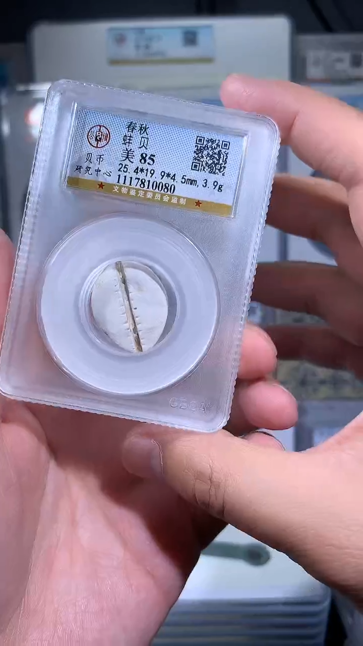 【闪购商品】铜御泉收藏蚌bei一枚