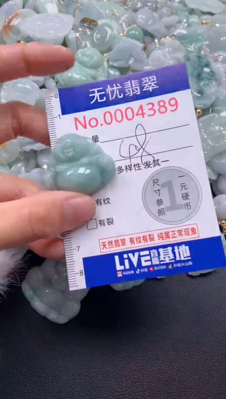 颈饰未镶嵌翡翠4389