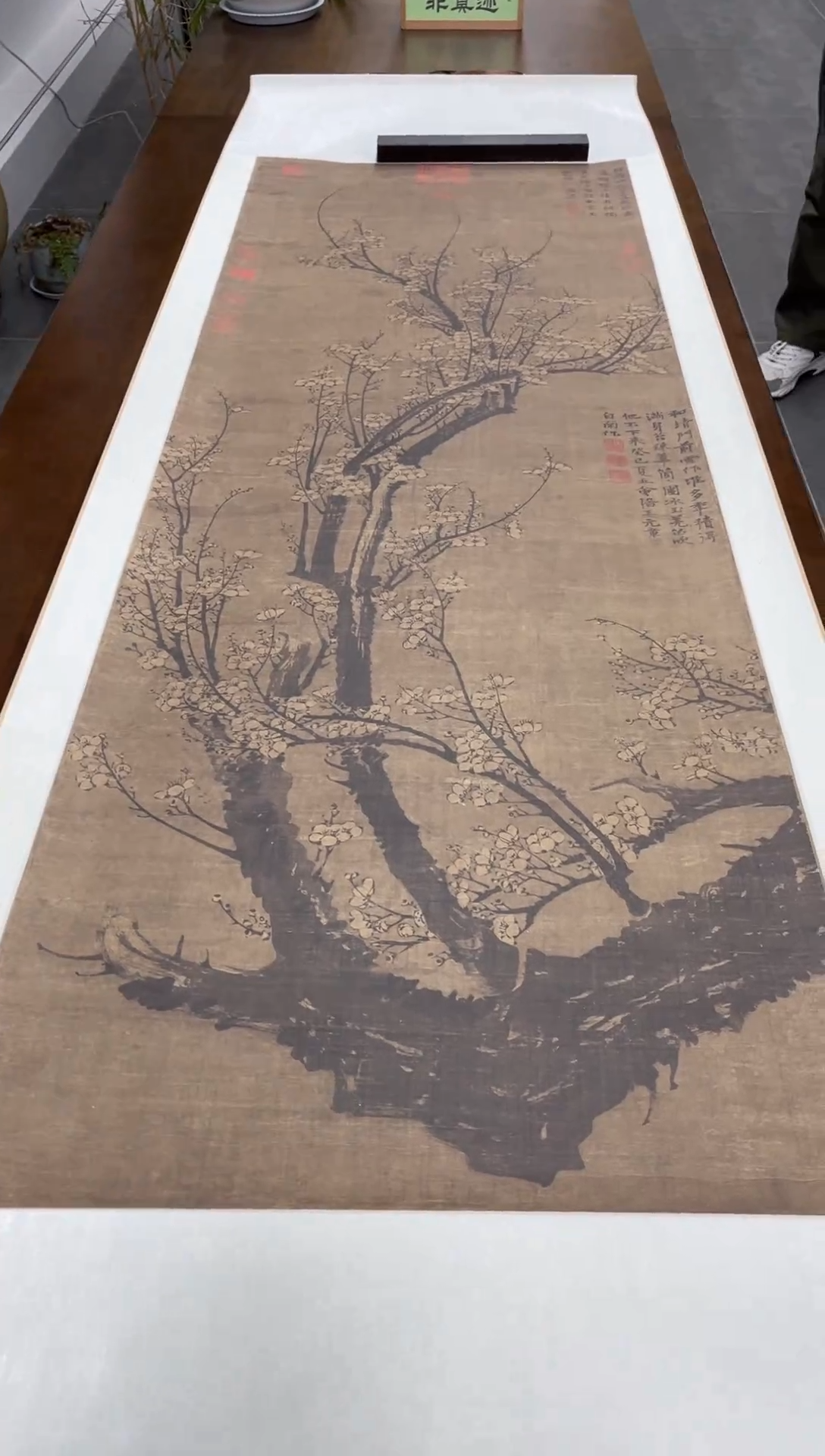 【复刻品】王冕  南枝春早