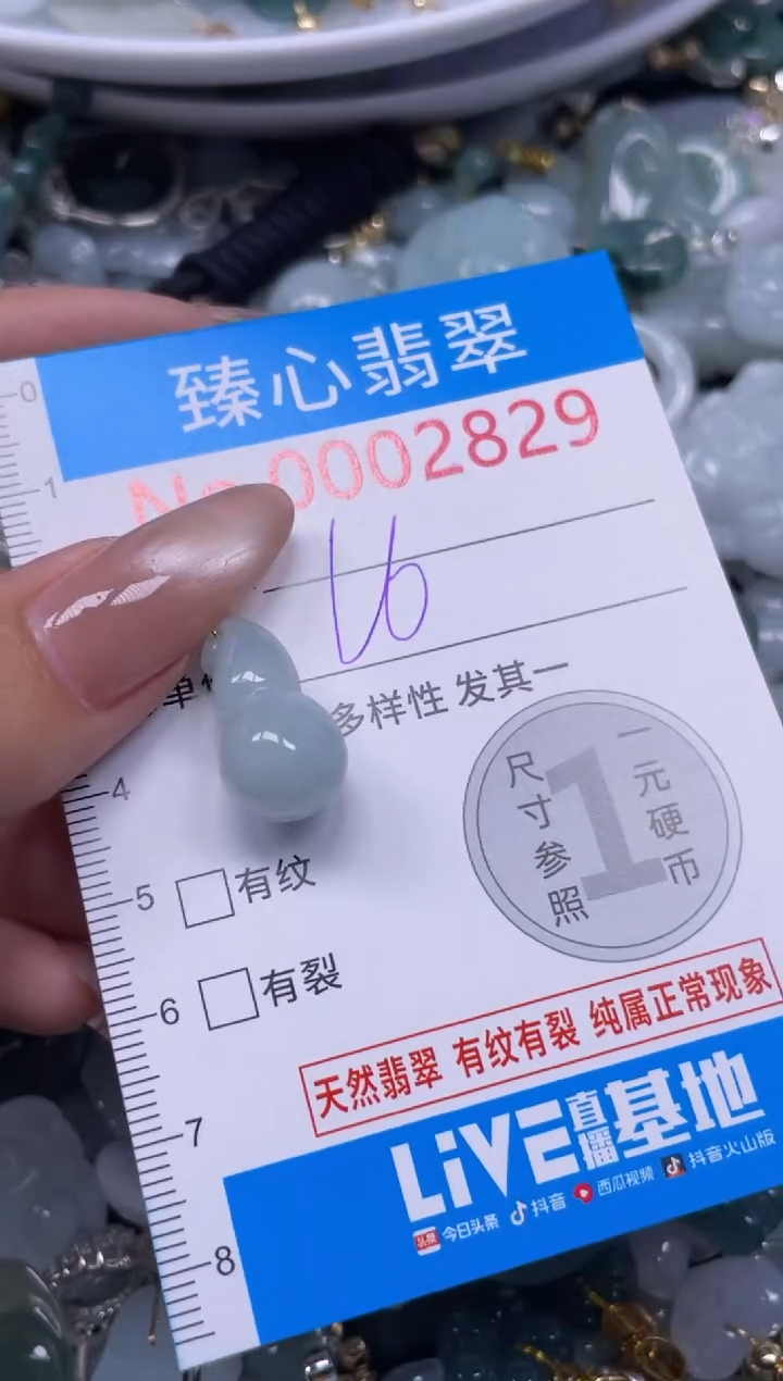 颈饰未镶嵌翡翠2829