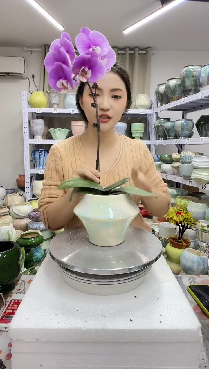12.30陶瓷花盆直播链接高.   14   口11