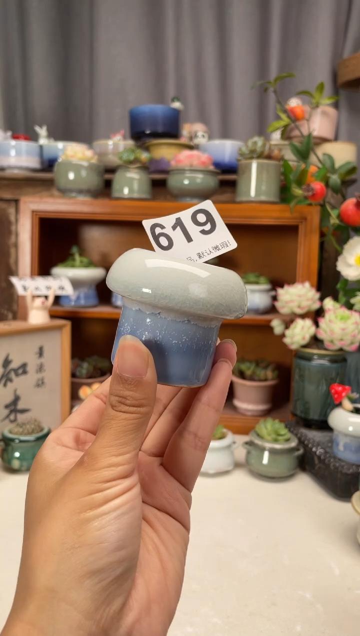 瓷片619知木花盆小芳