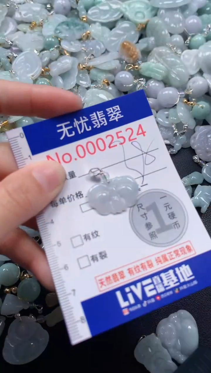 颈饰未镶嵌翡翠2524