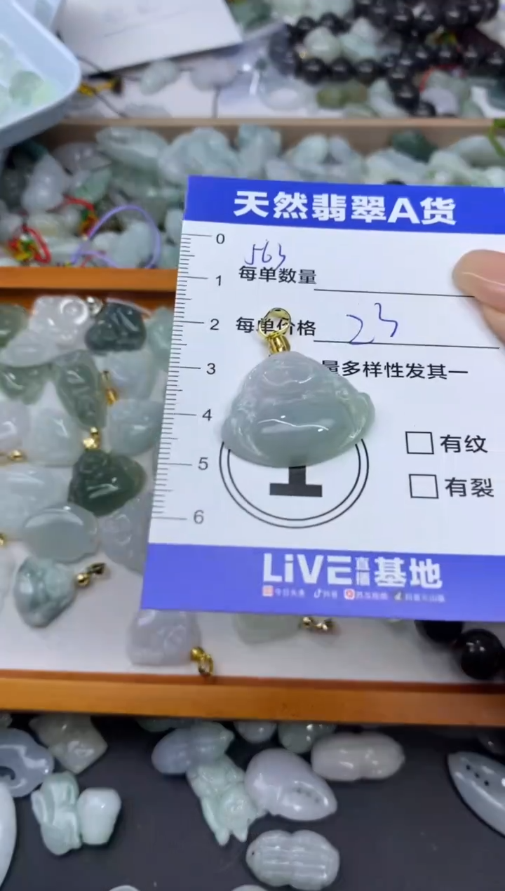 颈饰未镶嵌翡翠天然翡翠A货批量多样性发一件