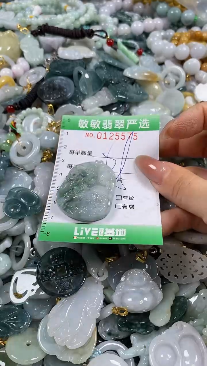 【闪购商品】翡翠颈饰未镶嵌闪购0125575