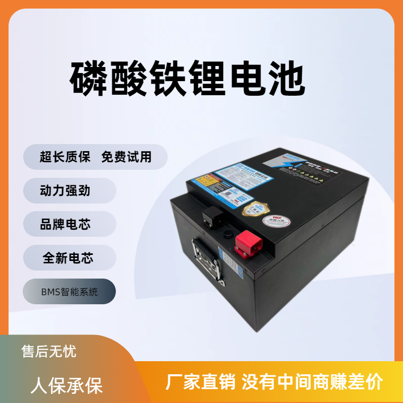 国轩60V全新A品两轮三轮车四轮车大容量磷酸铁锂外卖快递