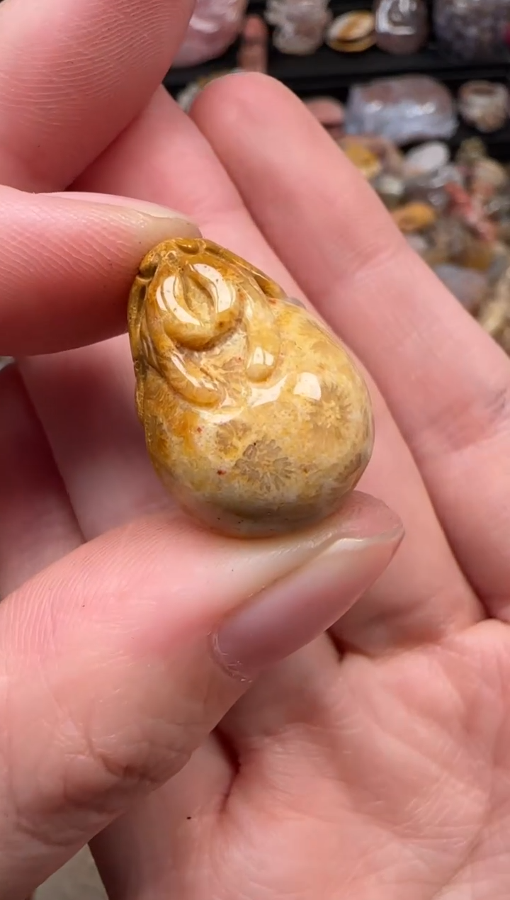 颈饰未镶嵌硅化珊瑚（珊瑚玉）326