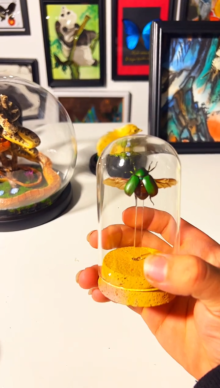 有机玻璃12332443