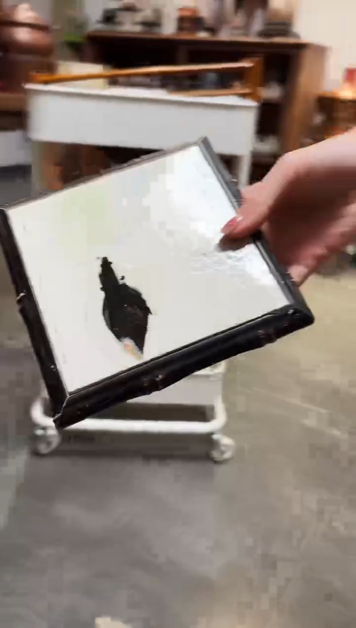 【闪购商品】茶道配件茶道配件