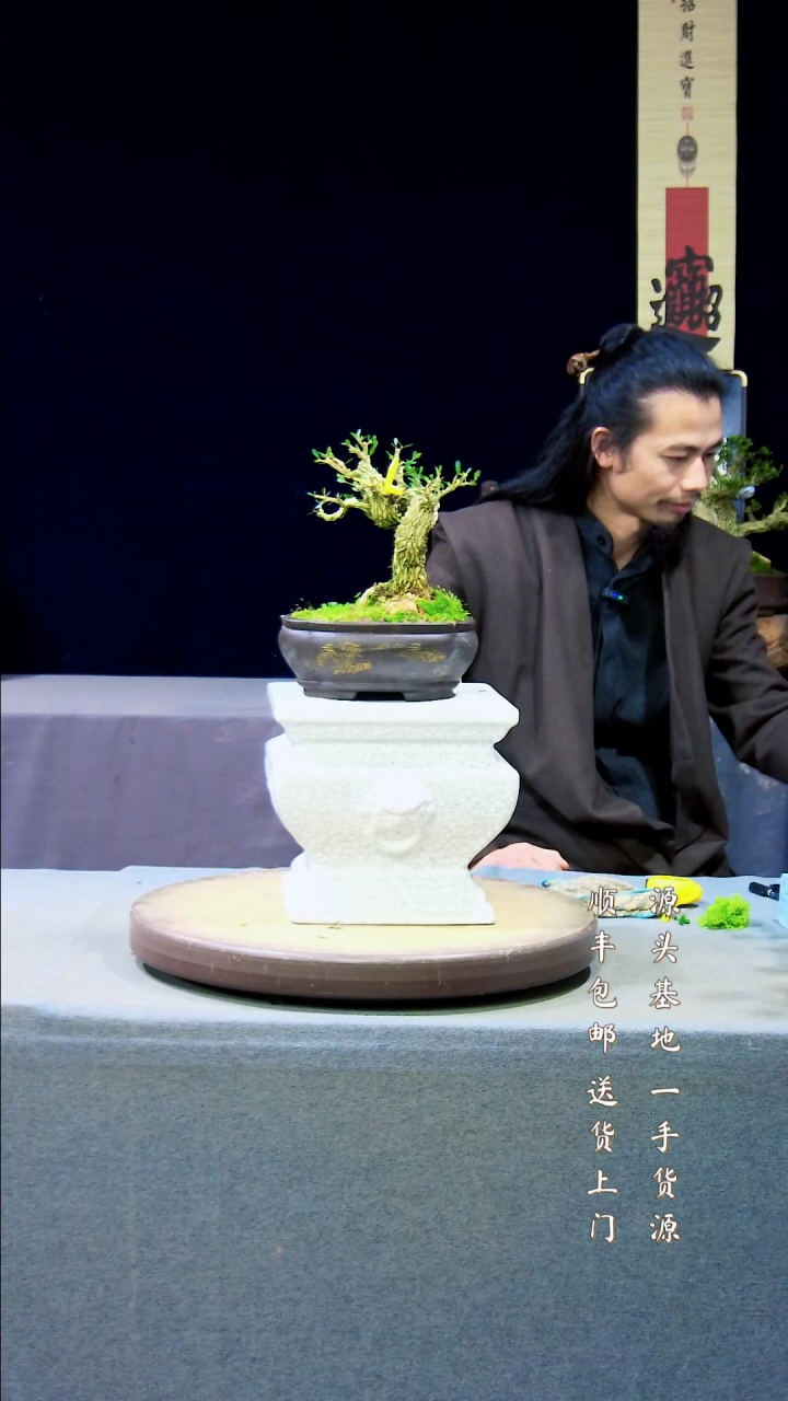 【闪购商品】雀舌皱皮黄杨盆景雀舌皱皮黄杨盆景