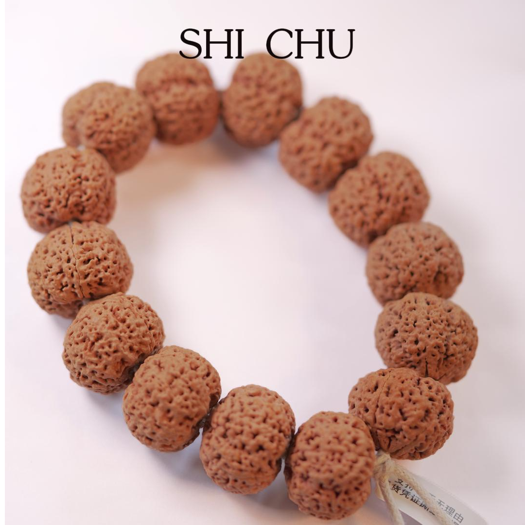 【精品大金刚】菠萝蜜