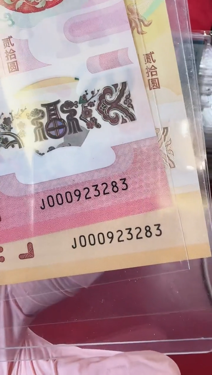 【闪购商品】塑料2025蛇钞全同号啊啊啊啊啊