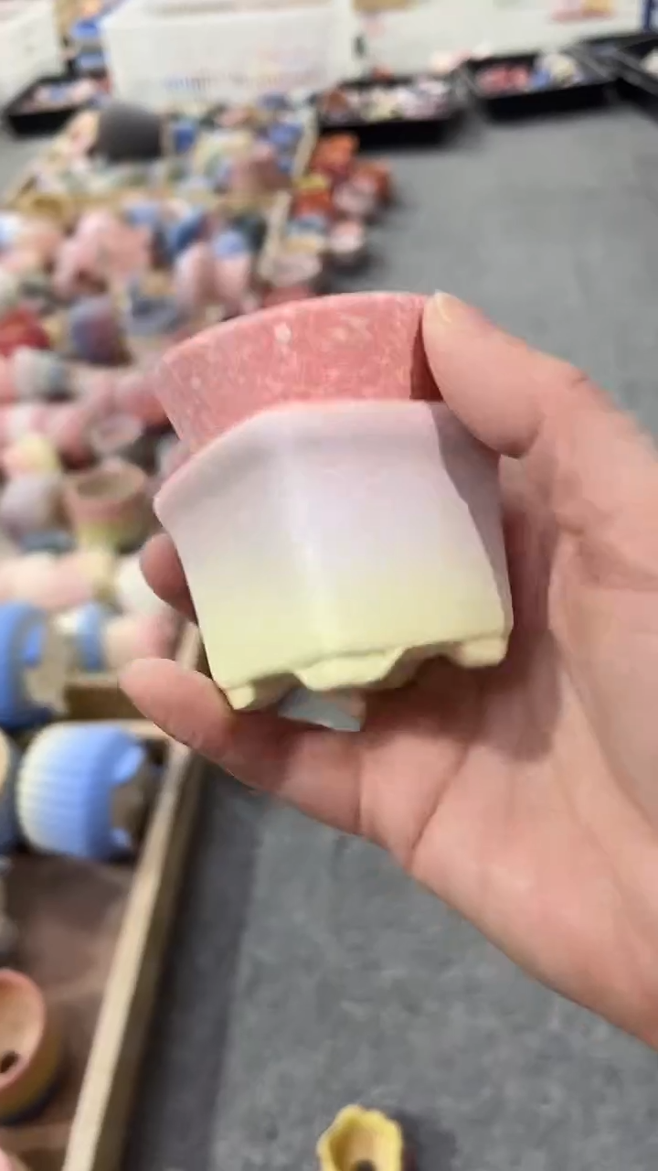 d****r麦饭石粗陶多肉花盆两个