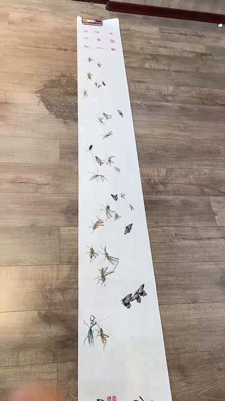 【闪购商品】国画武天庆【长卷30只虫】