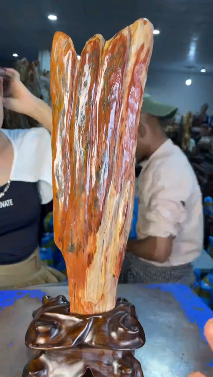 未镶嵌摆件硅化玉13