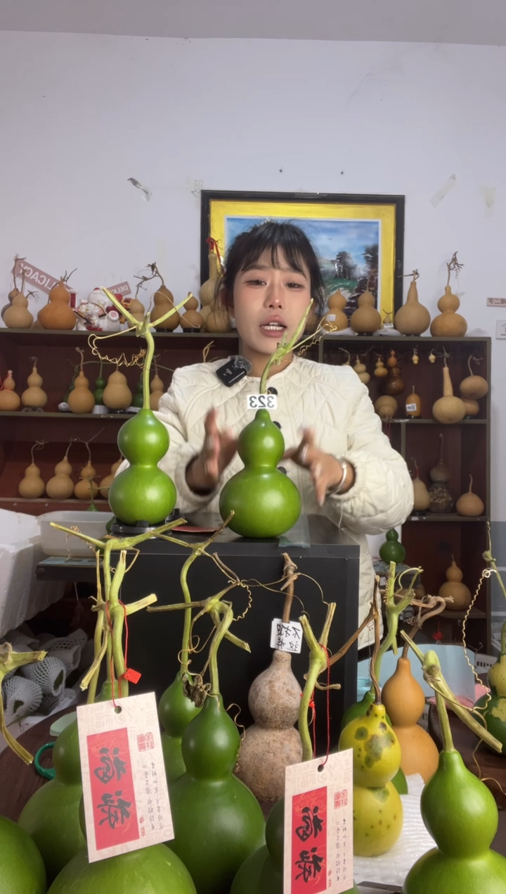 323天然葫芦摆件 一物一拍龙头不保售后