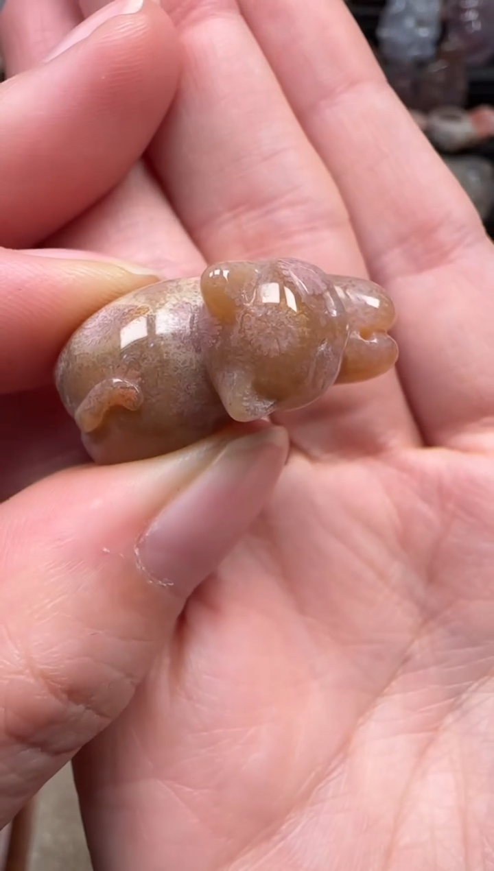 颈饰未镶嵌硅化珊瑚（珊瑚玉）877