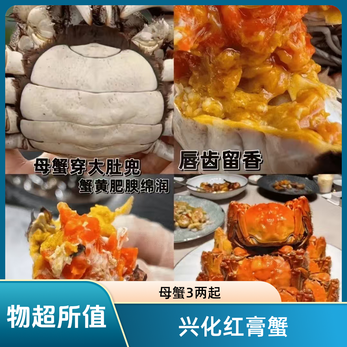 【兴化红膏大闸蟹】活蟹精品全母4.0两/3斤/组