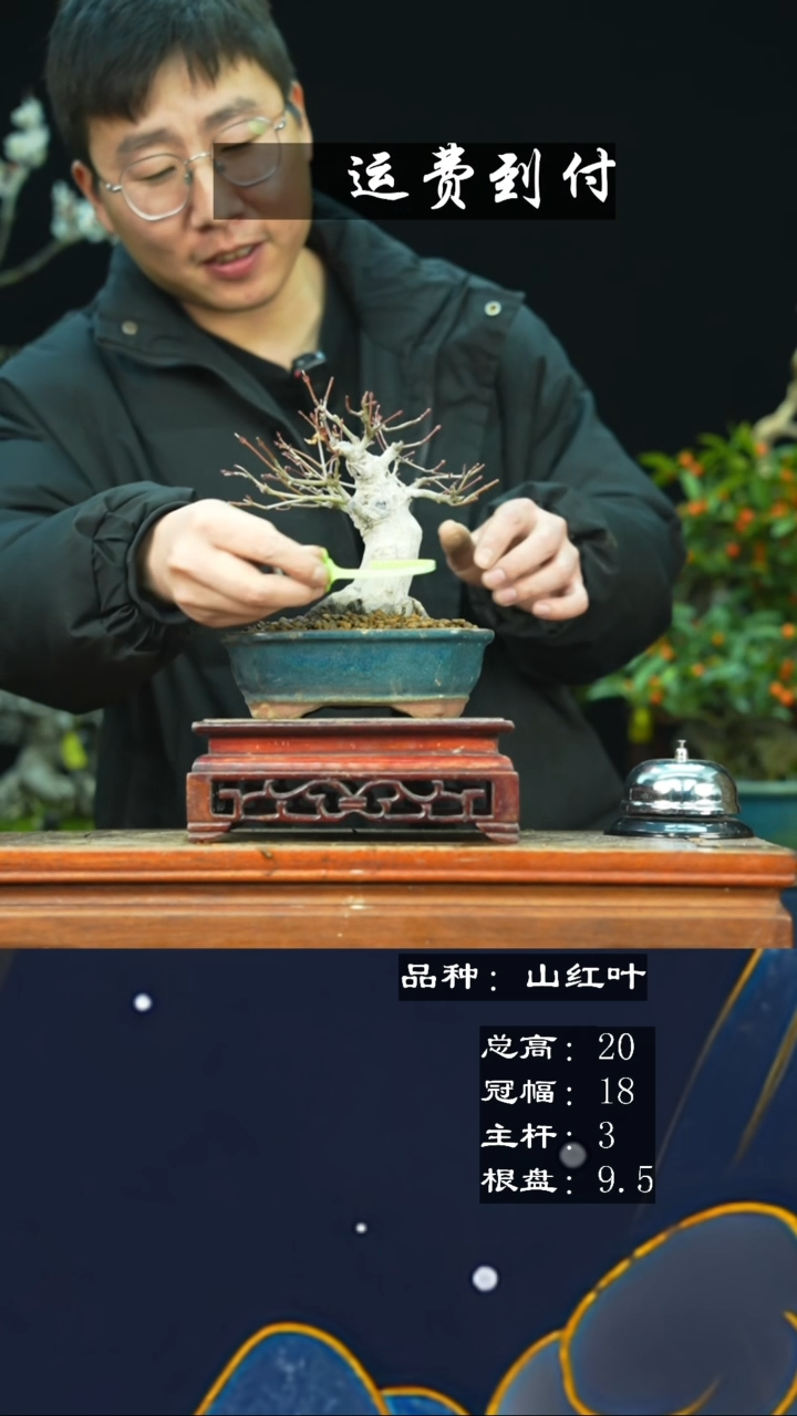 【闪购商品】无铅玻璃232042