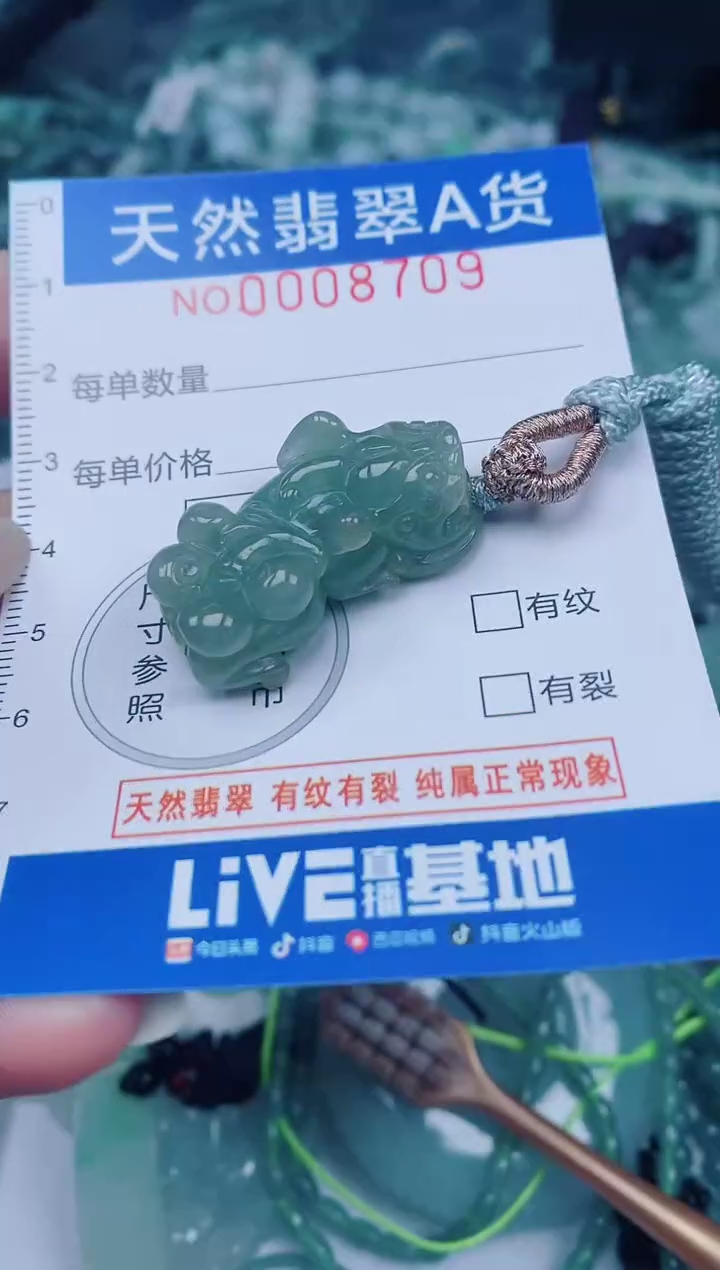 颈饰未镶嵌翡翠00008709