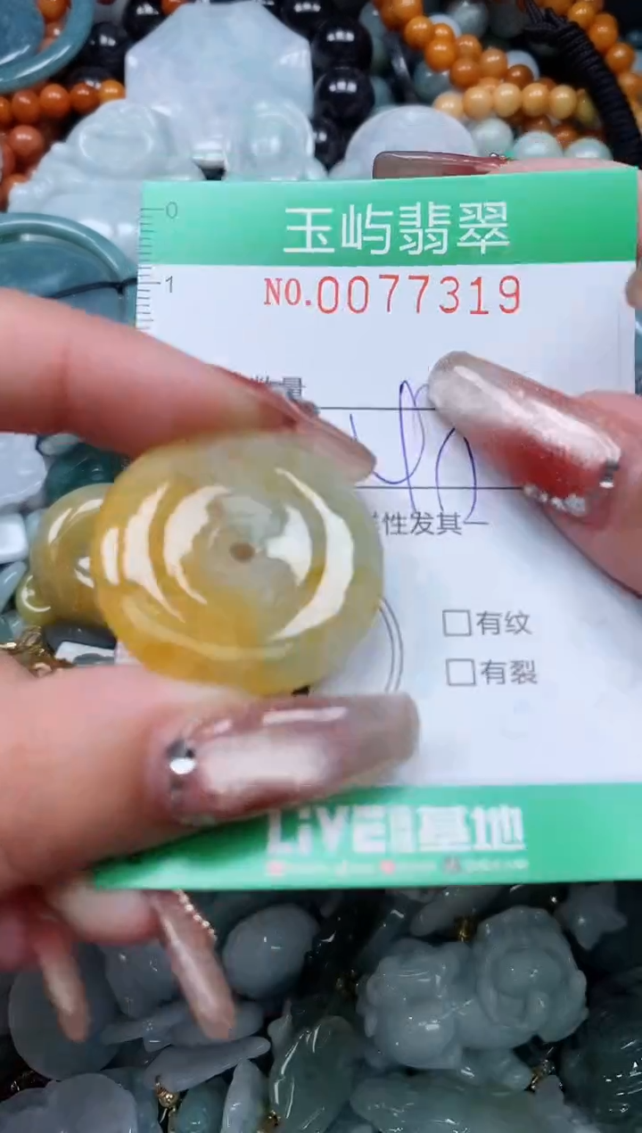 【闪购商品】翡翠颈饰未镶嵌闪购0077319