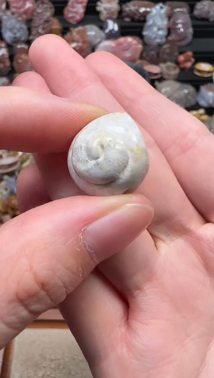 颈饰未镶嵌硅化珊瑚（珊瑚玉）479