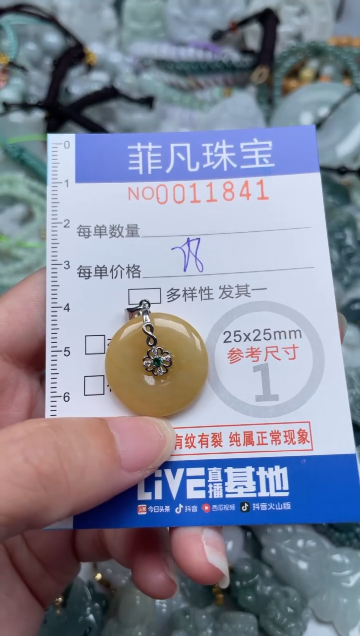 颈饰未镶嵌翡翠11840