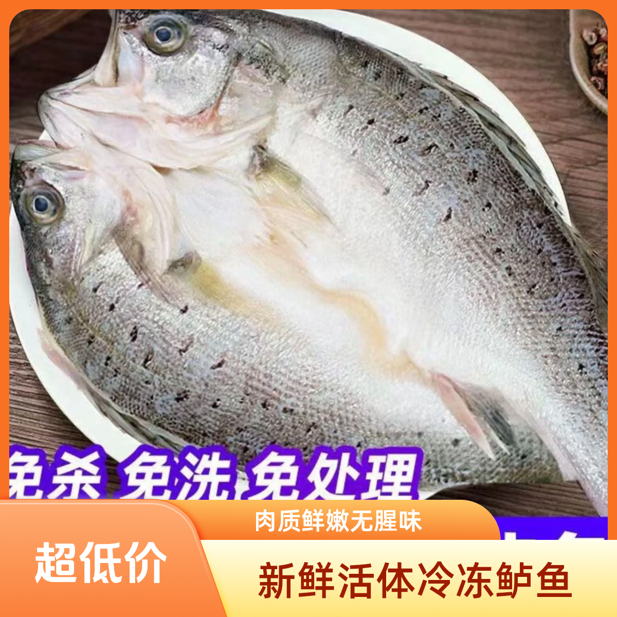 开背鲈鱼  整整七条 每条450-500克 新春福利专属