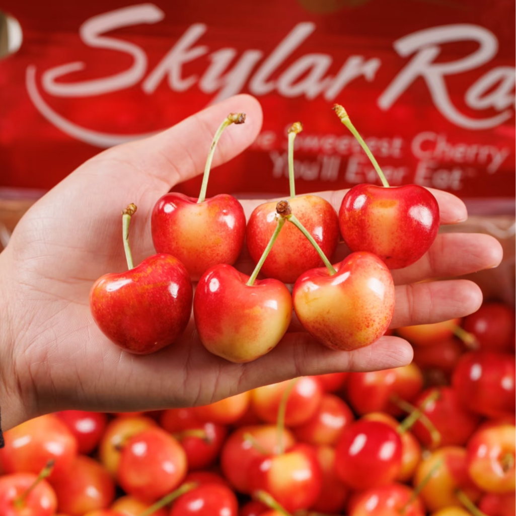 【大壮哥甄选】空运斯凯拉雷黄金车厘子 J-3J 4.6斤装 内附果径卡