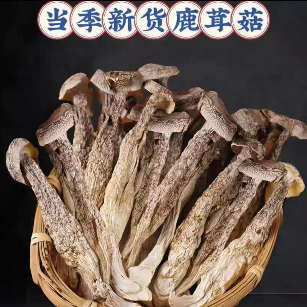 豪媳妇古田高山鹿茸菇250g/袋