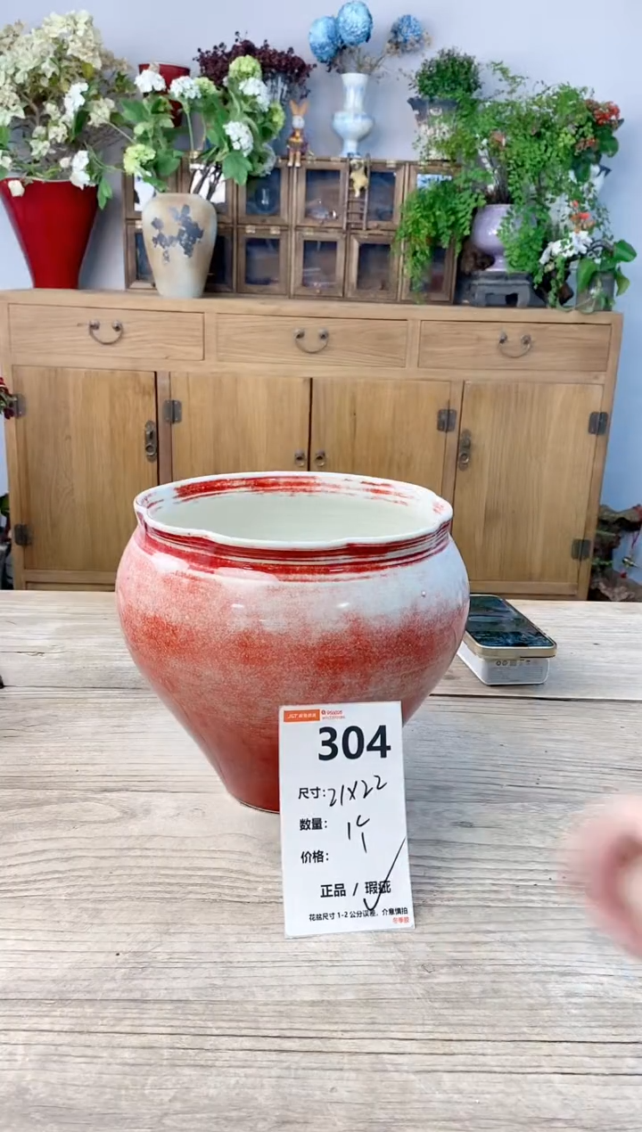 小玩子花盆直播号304