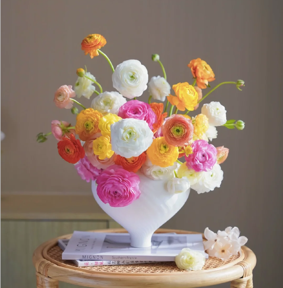 【1单包邮】随机色洋牡丹 昆明基地直发 生活鲜花