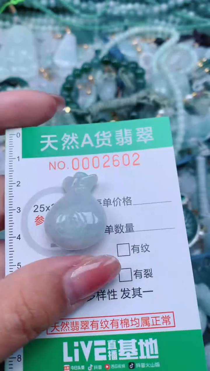 【闪购商品】翡翠颈饰未镶嵌.0002602