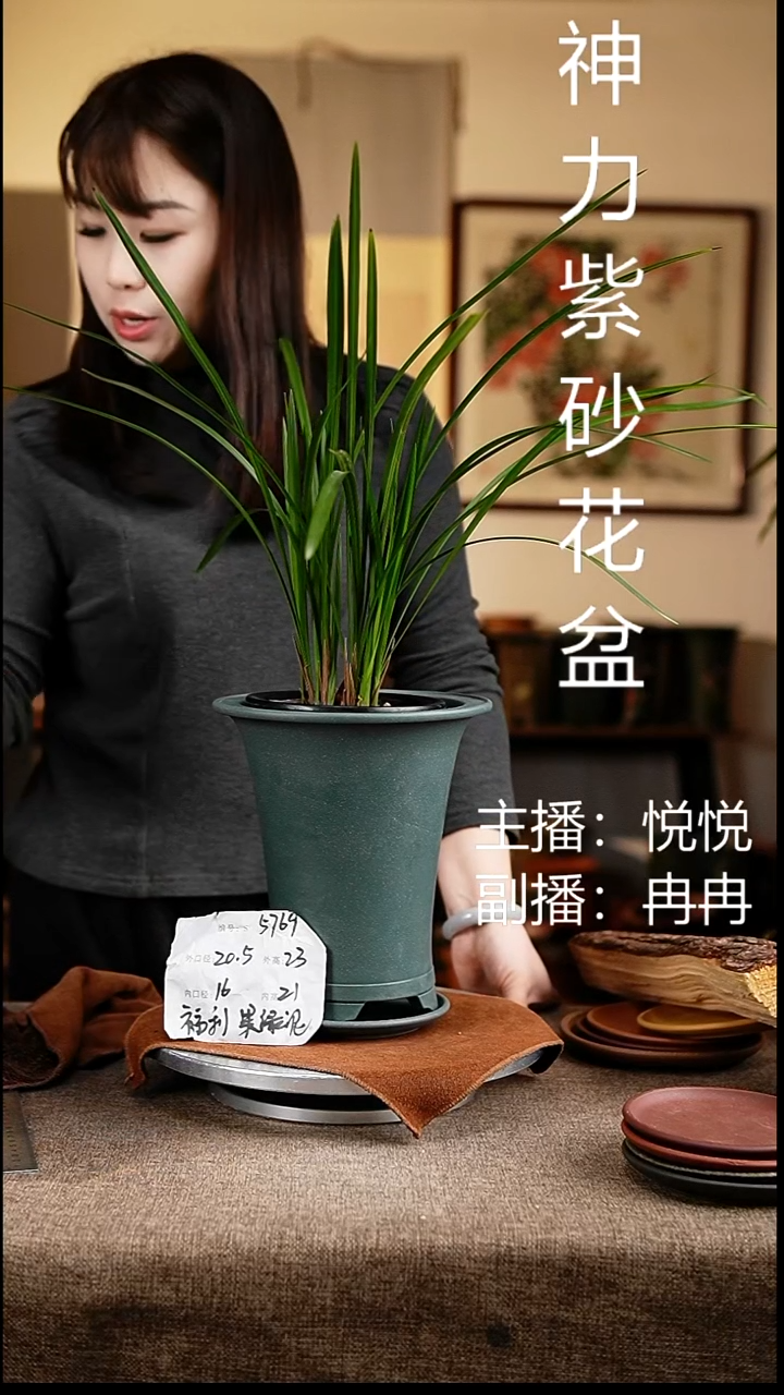 紫砂花盆花卉工艺5769+z果绿