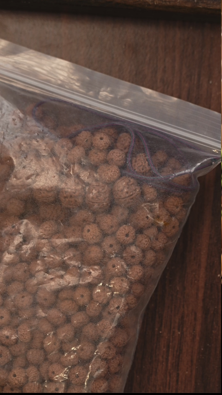 吊坠金刚菩提散籽散籽散籽