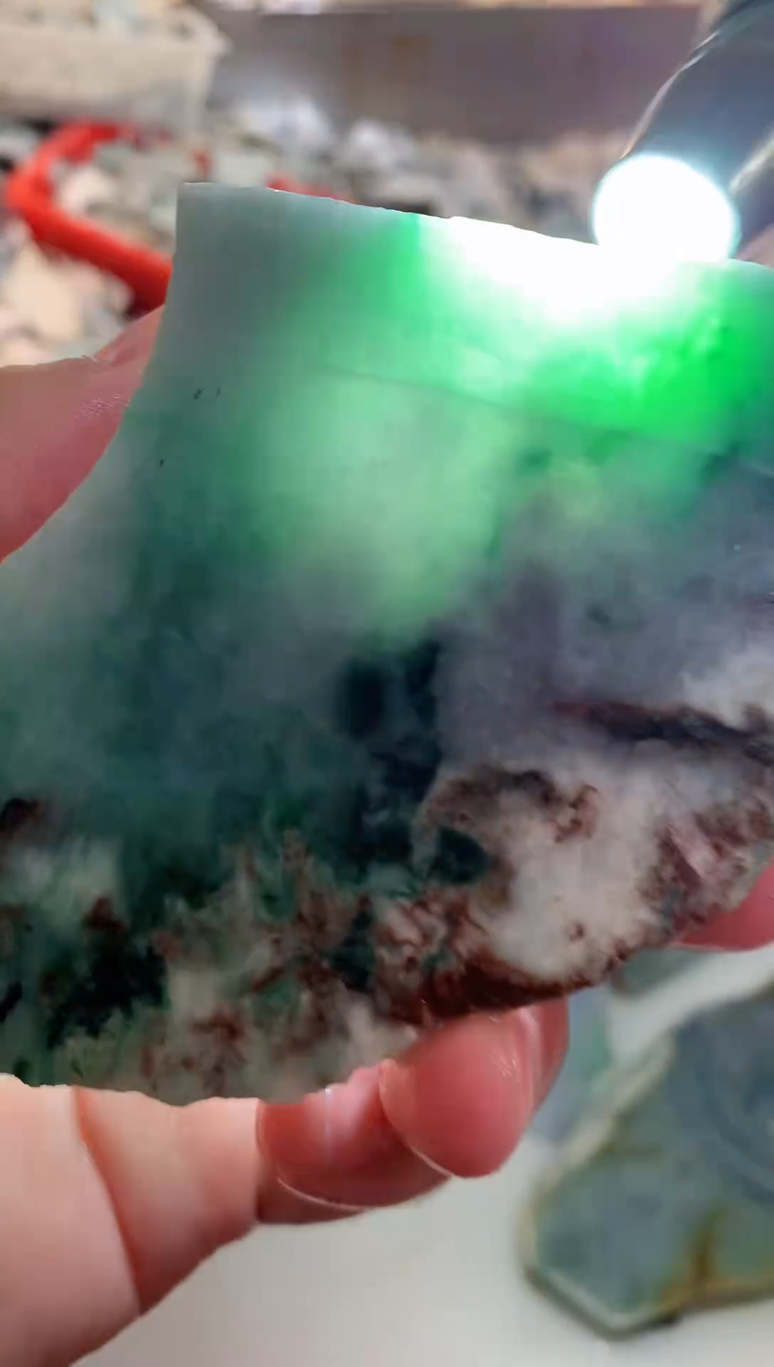 裸石翡翠0林0翡翠珠宝232