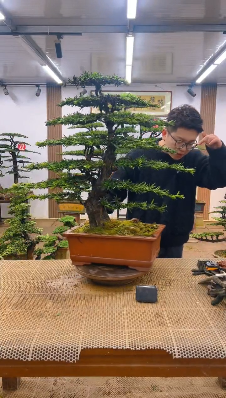 一物一拍，所见即所得