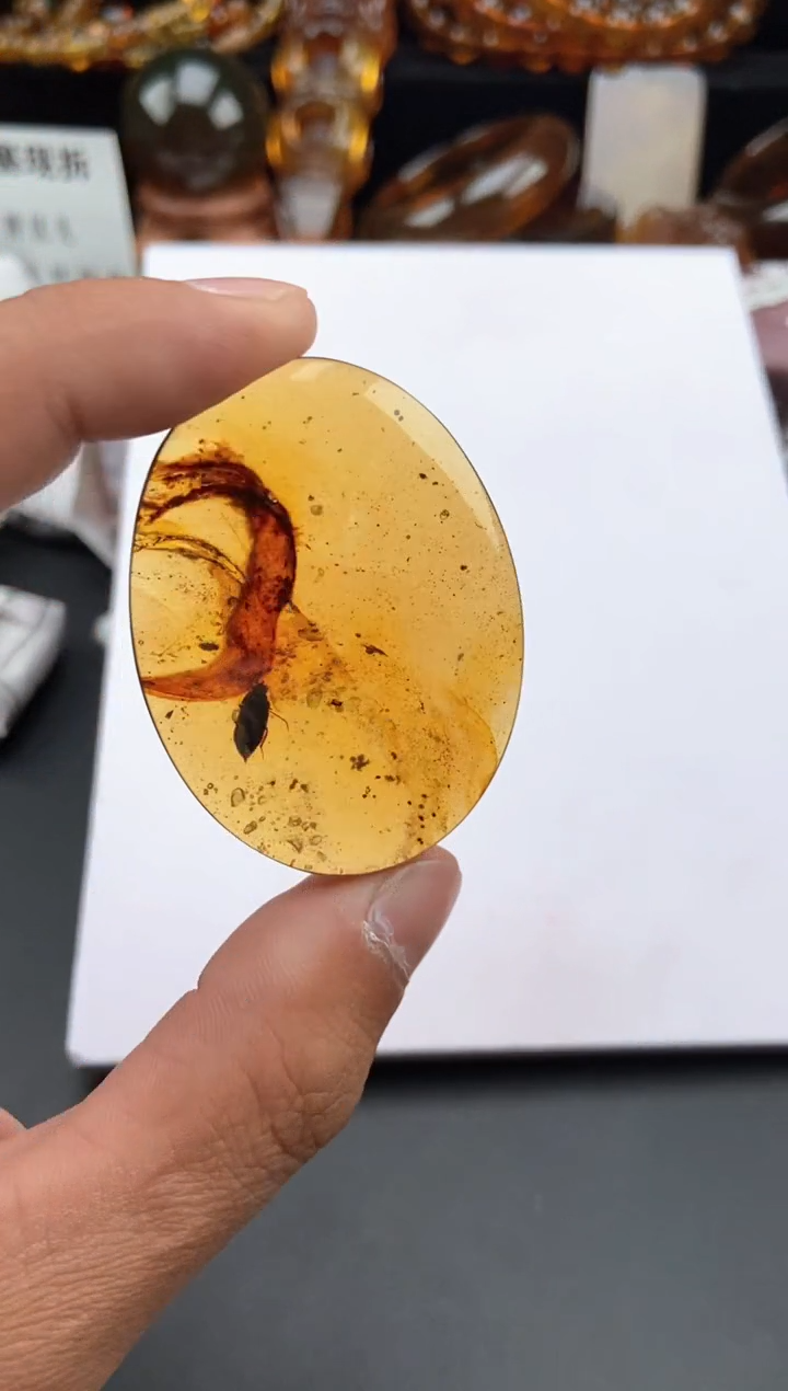 【闪购商品】琥珀颈饰未镶嵌虫珀