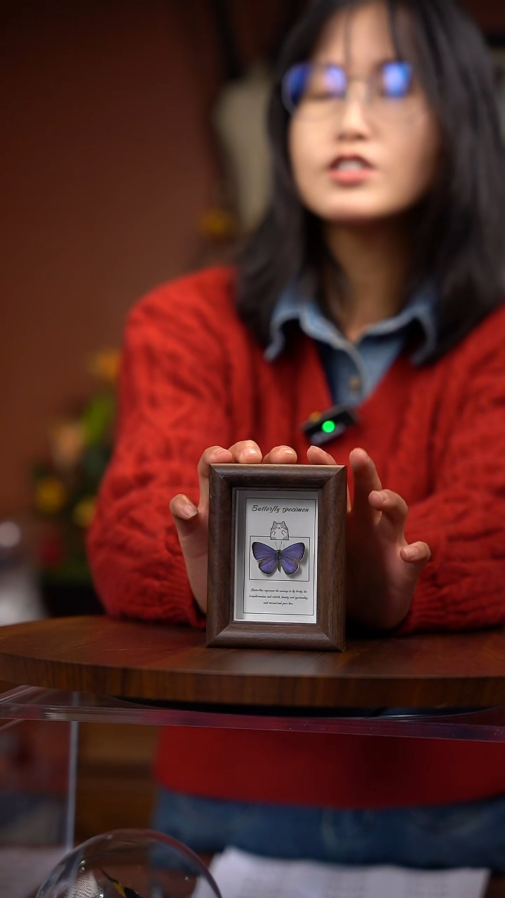 ?*衡小灰蝶冰箱贴（常规）