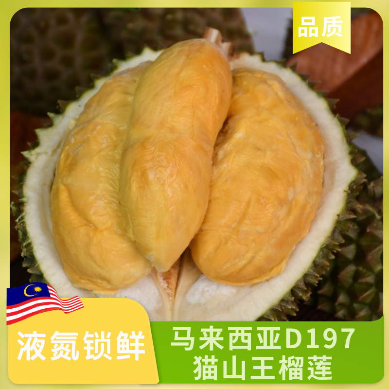 【一物一拍】AAD197猫山王榴莲榴莲液氮树熟高山猫山王（保五房）