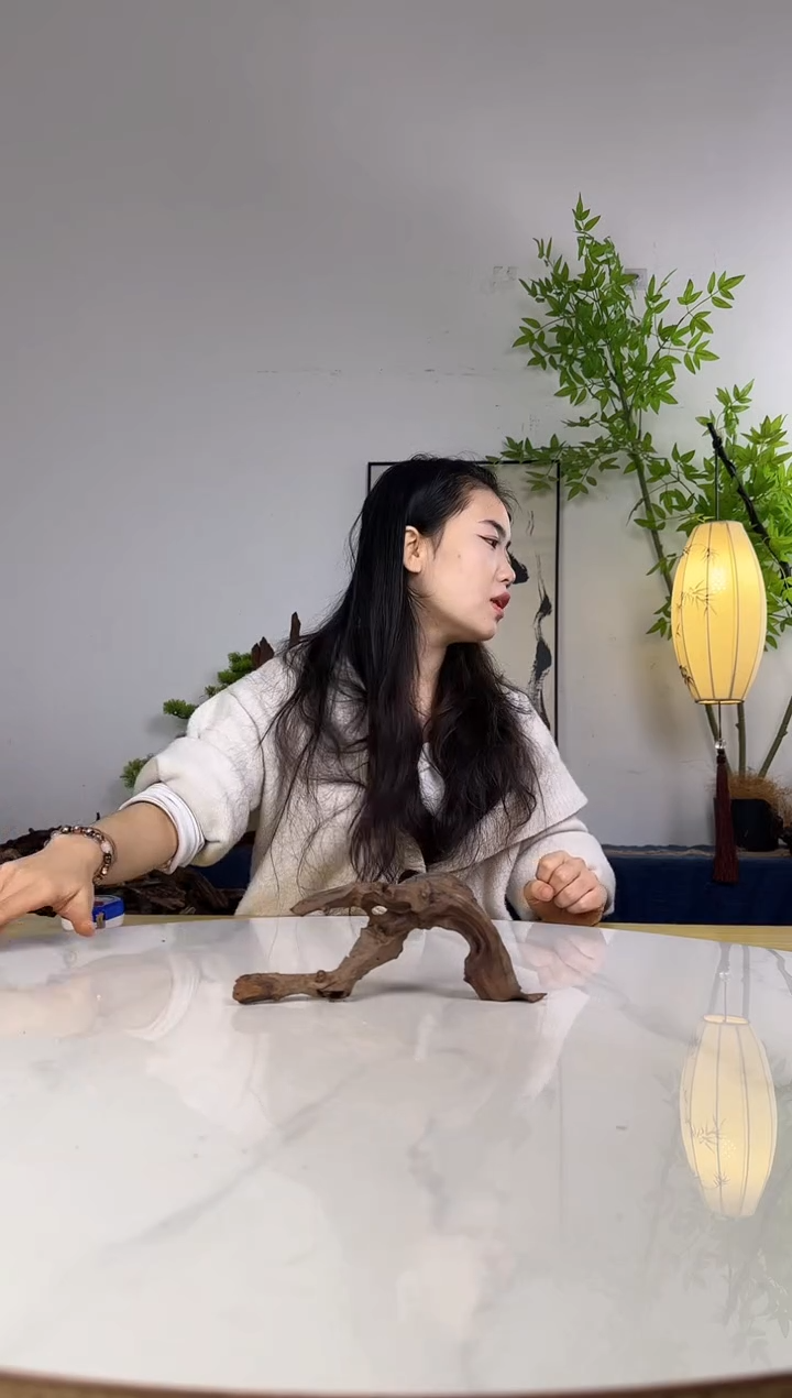 沉**…拍沉木定向链接编号52