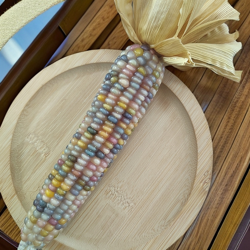 七彩玉米  手把件  车摆件直播间一物一拍请勿私自下单