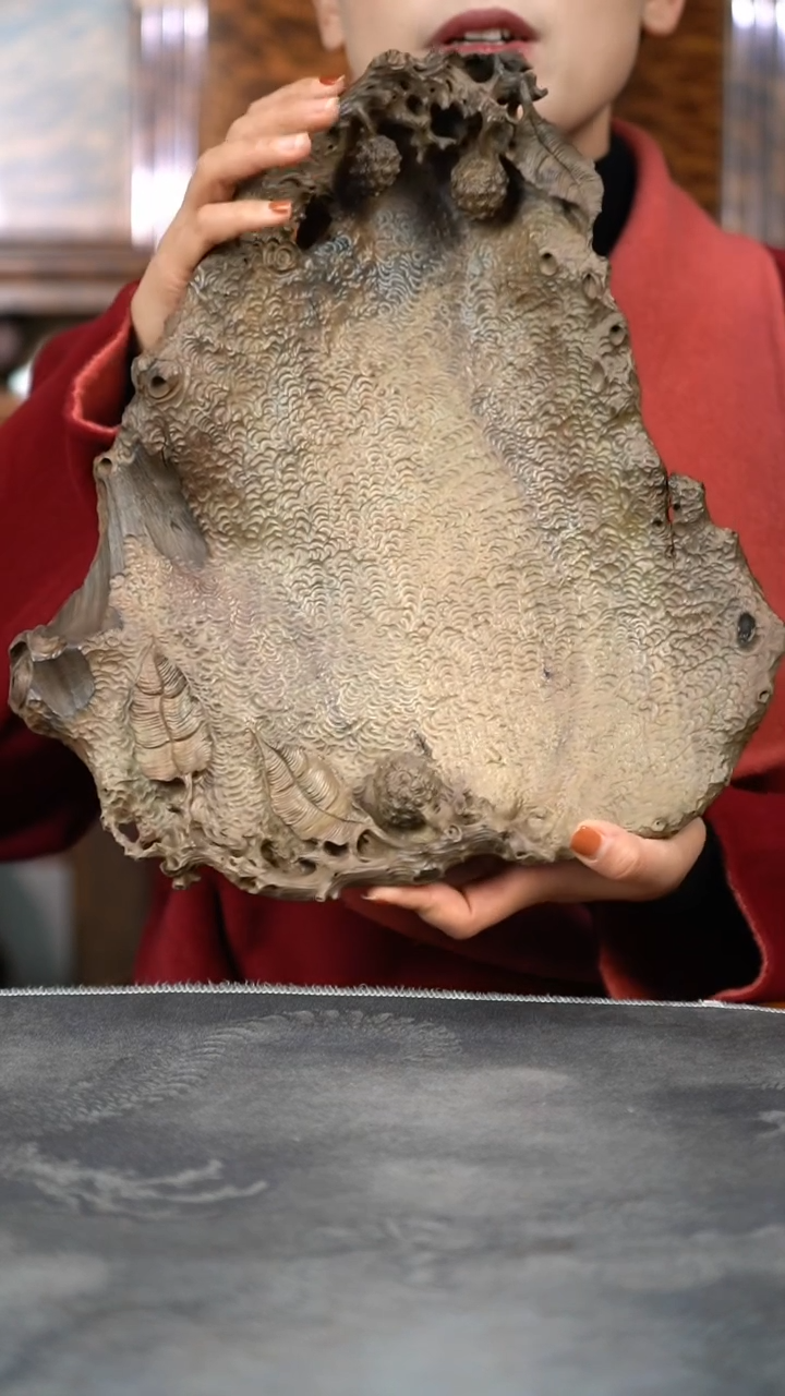 【闪购商品】金丝楠木雕手作精工荔枝果盘