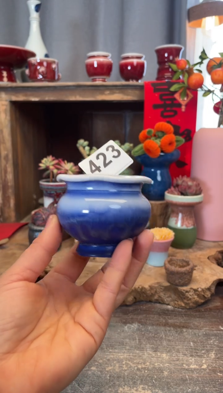 【闪购商品】摆件423知木小芳花盆