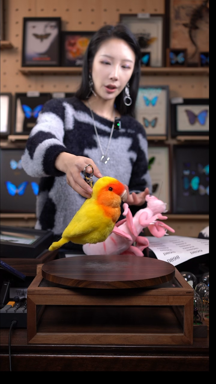鹦鹉文创玩偶     